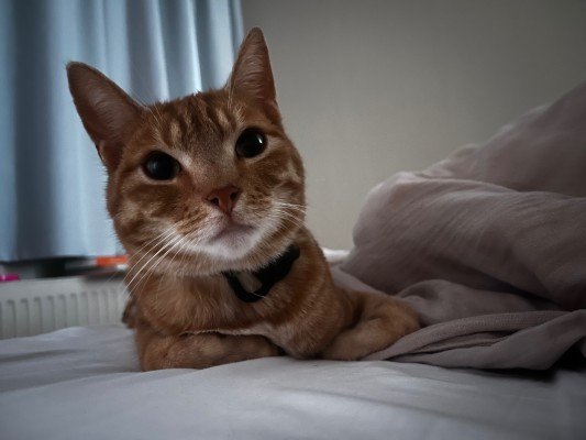 Henri