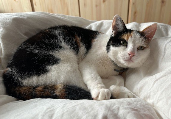 Millie