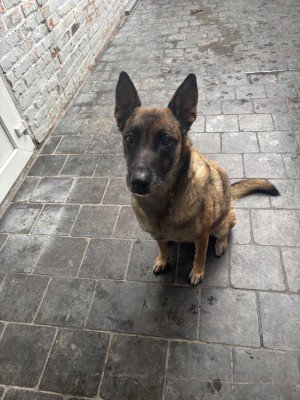 Zoë