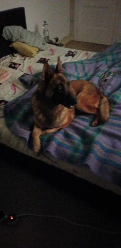 Zoë