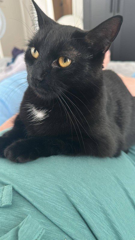 Luna