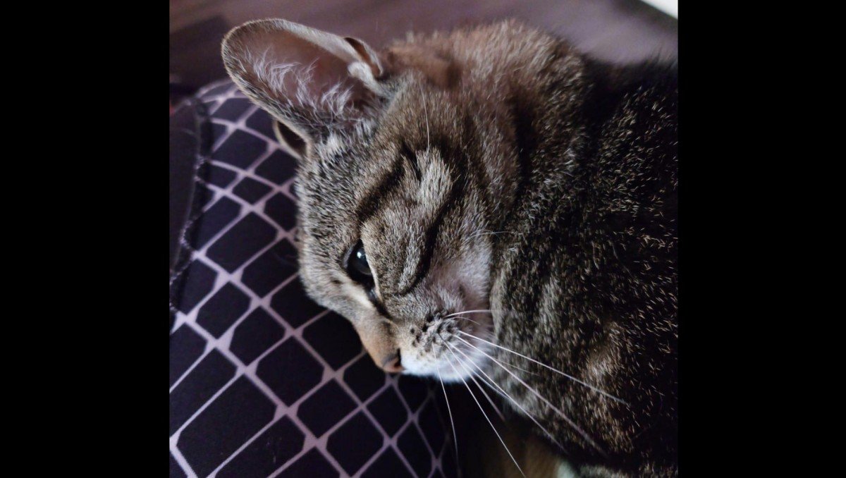 Anouk