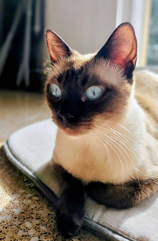 Nina