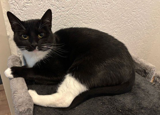Luna