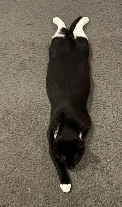 Luna