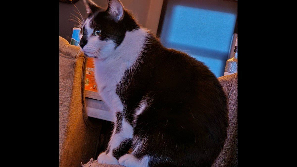 Hugo