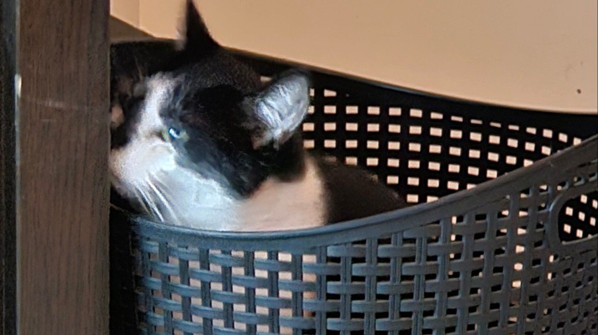 Hugo