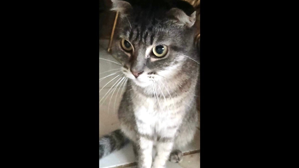 Bonita (Bonnie)