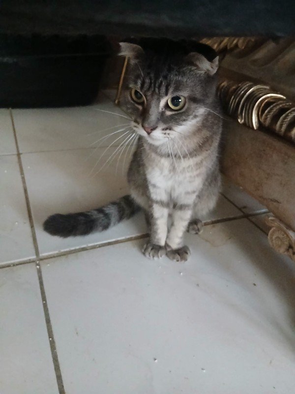 Bonita (Bonnie)