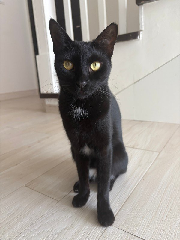Biba