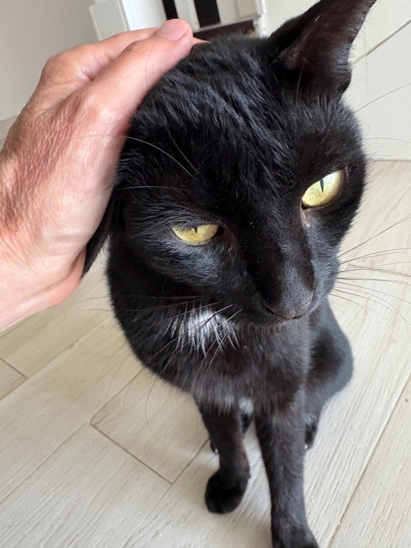 Biba