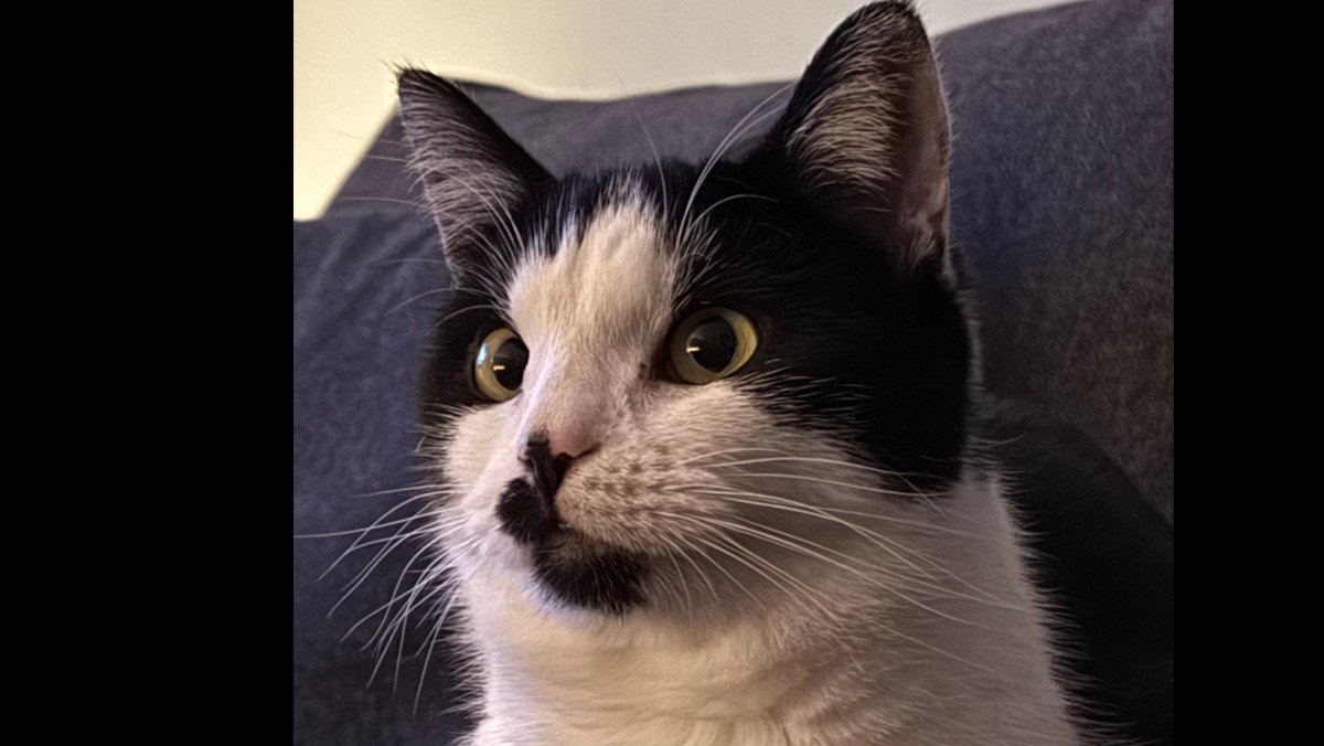 Figaro