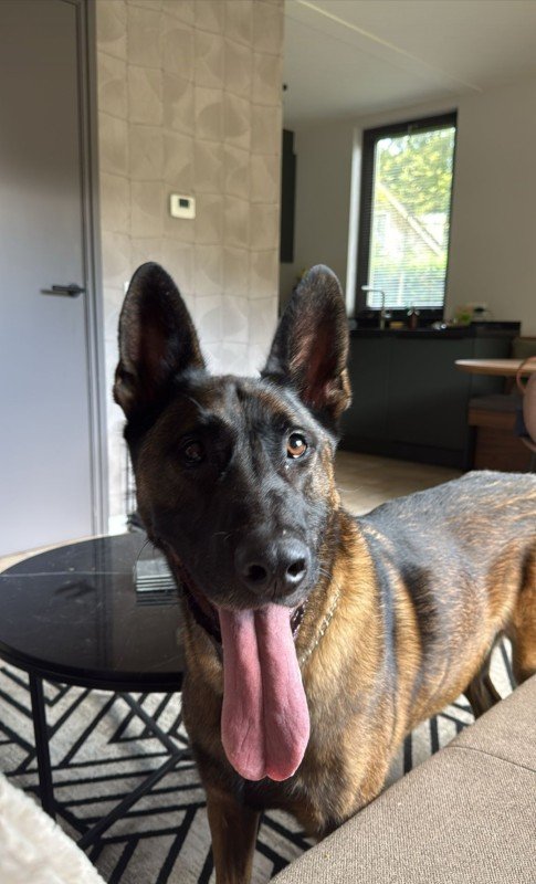 Pablo