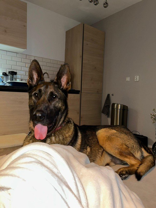 Pablo