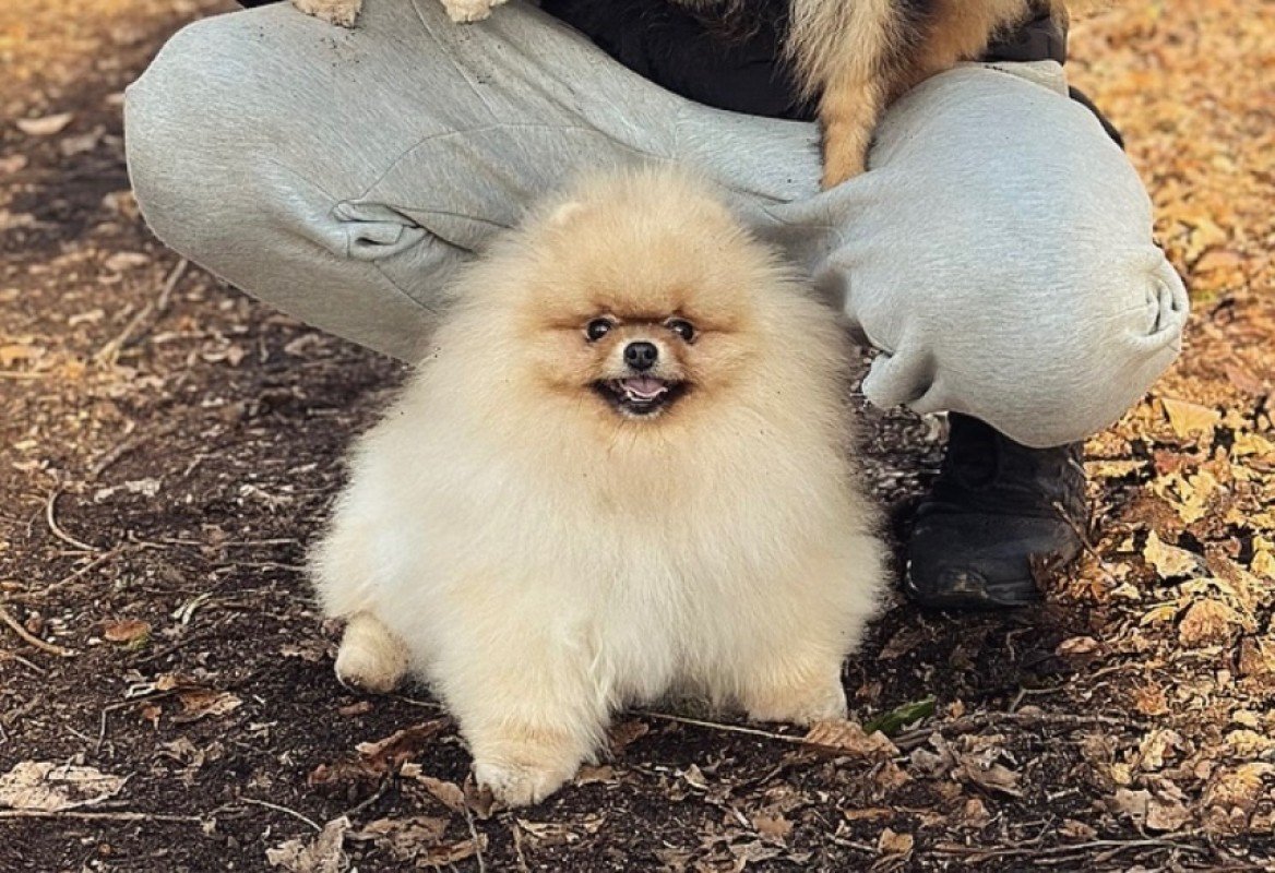 Jackson