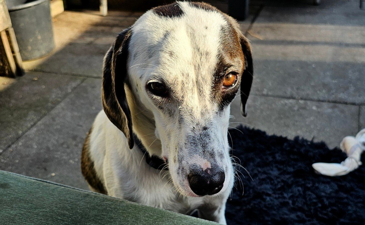 Melchior