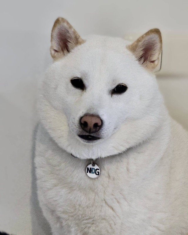 Yuki