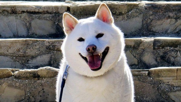 Yuki