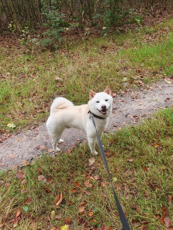 Yuki