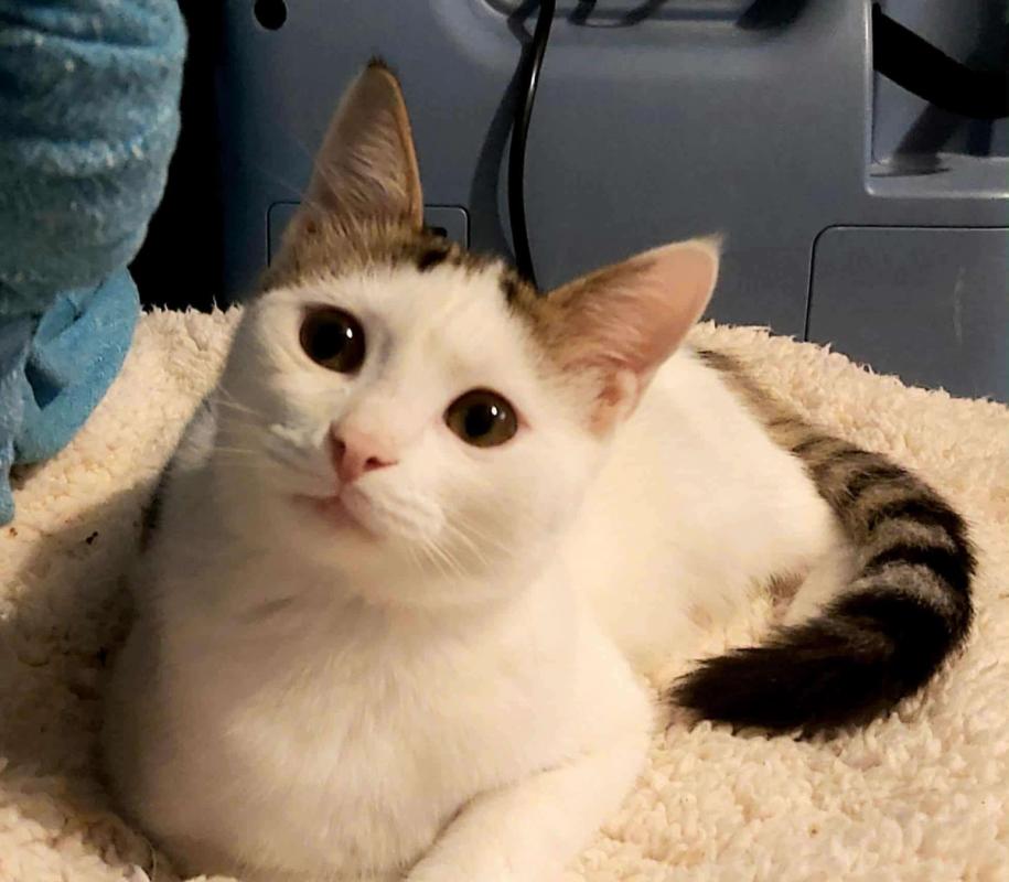 Pablo