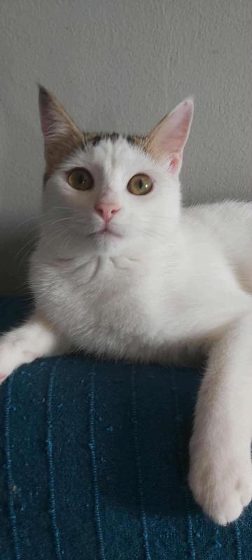 Pablo