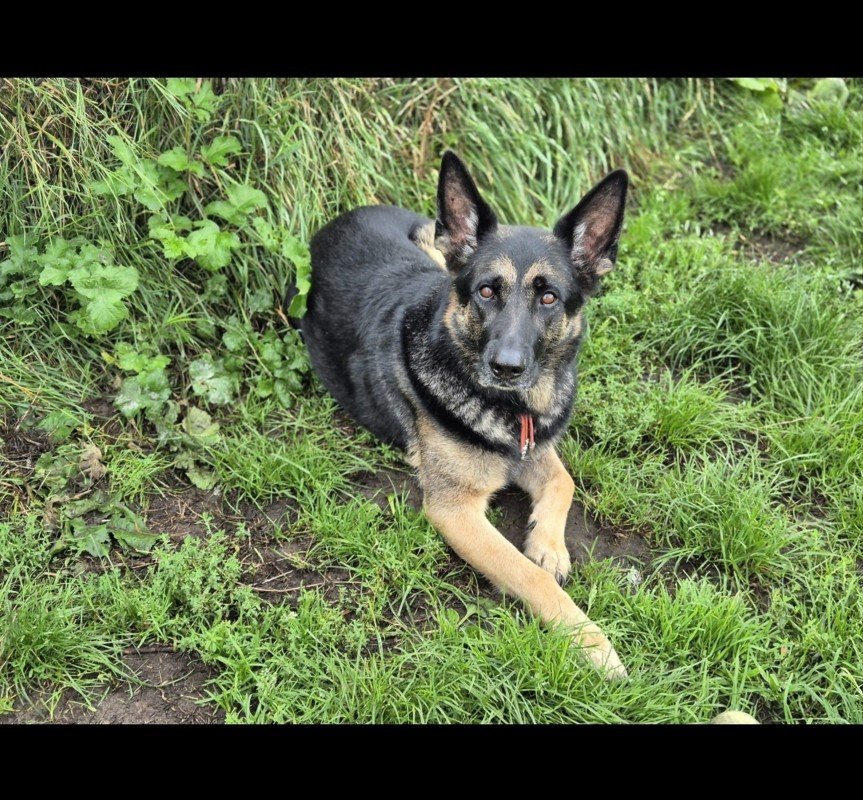 Pip