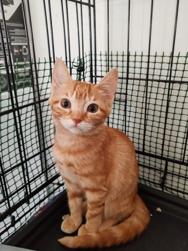 Mirinda