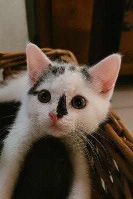 Juno