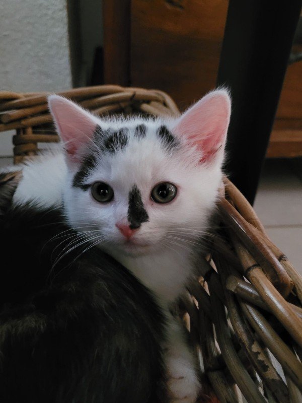 Juno