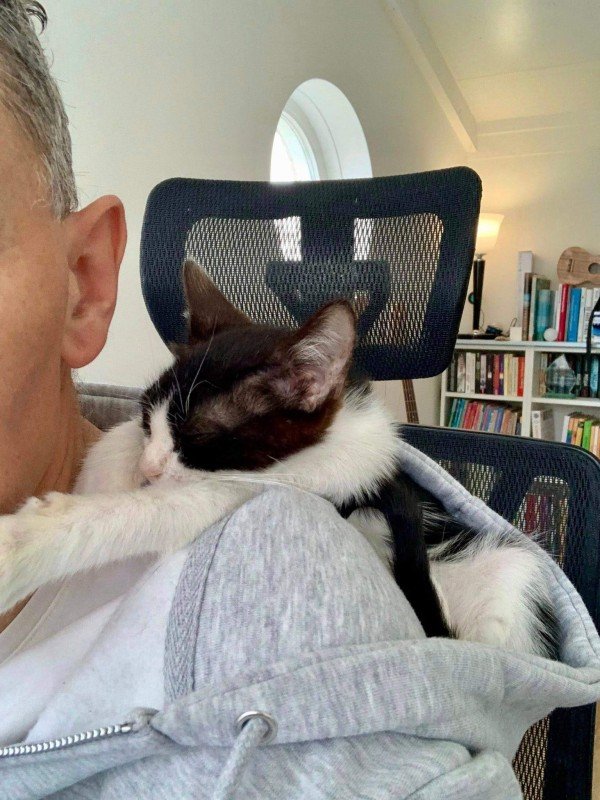 Milo