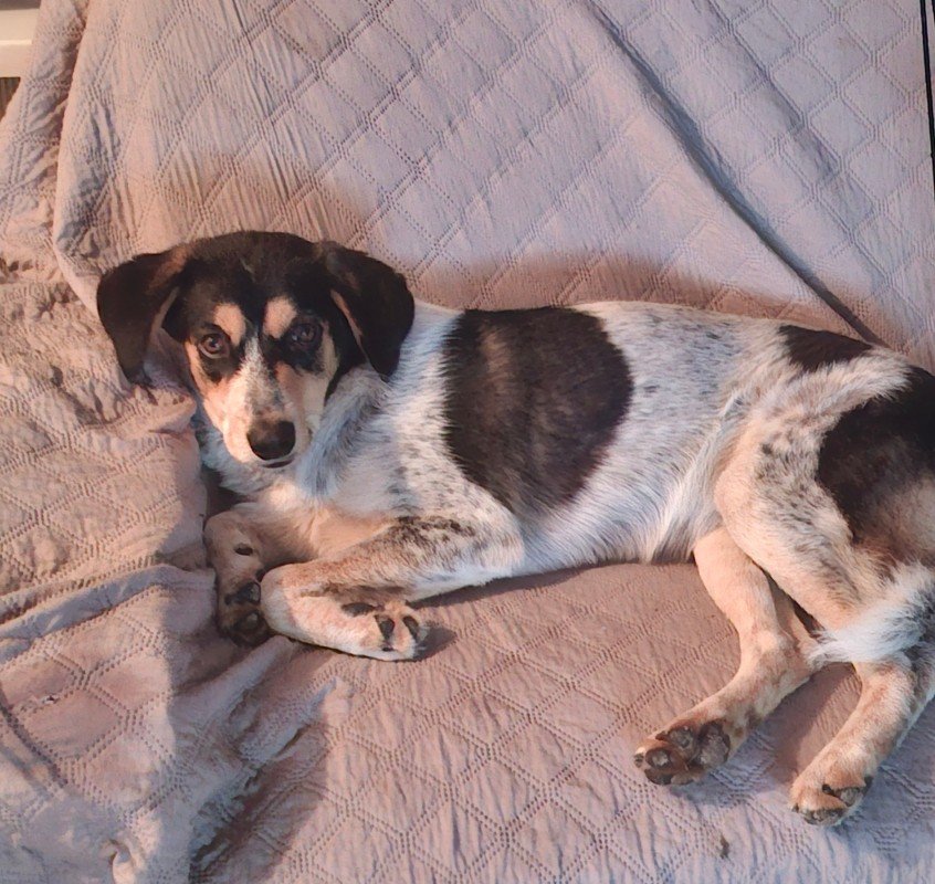 Milo
