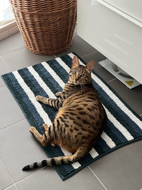 Binkie
