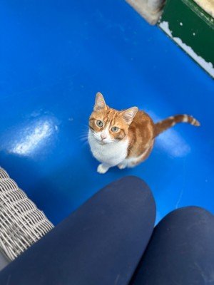 Lenny