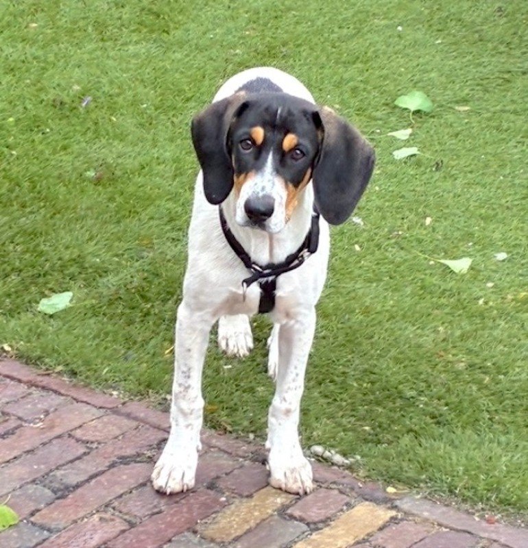 Charlie