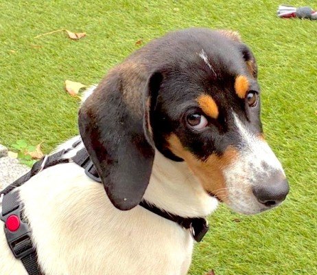 Charlie