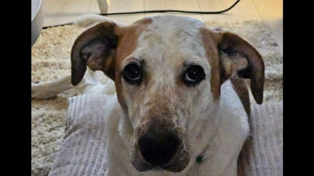 Kira