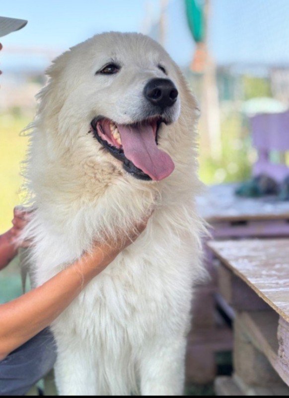 Zeus