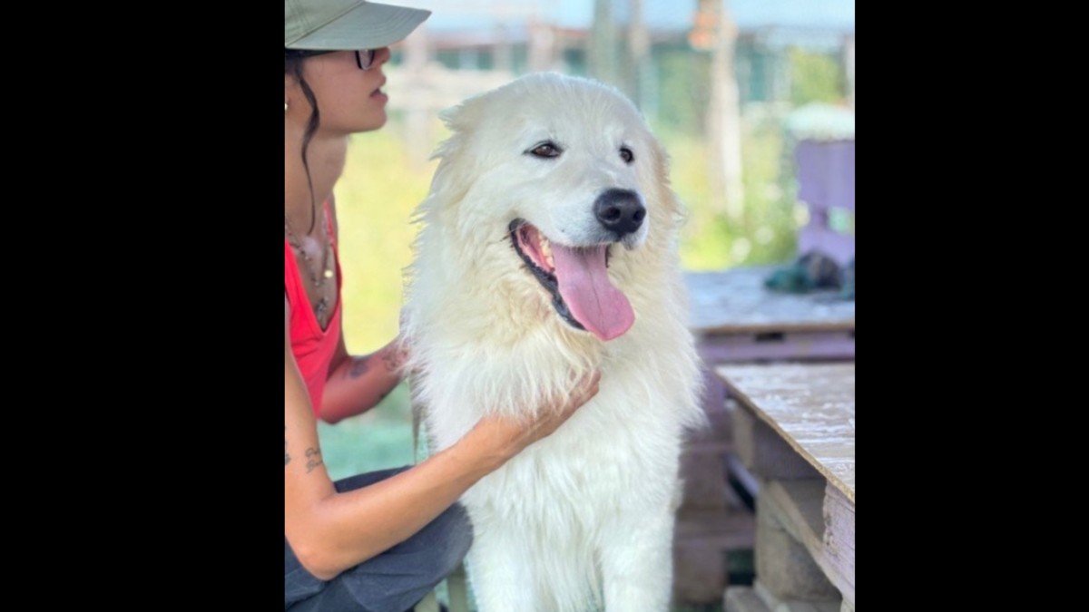 Zeus