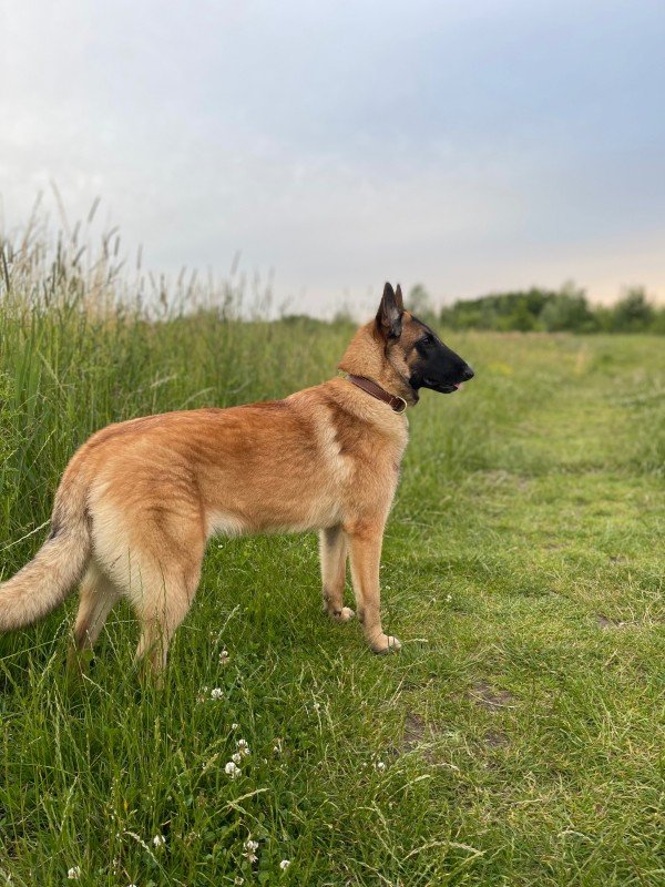Zoë