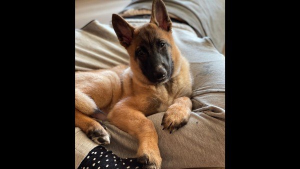 Zoë