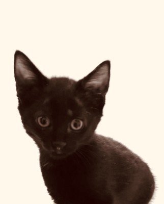 Twixy