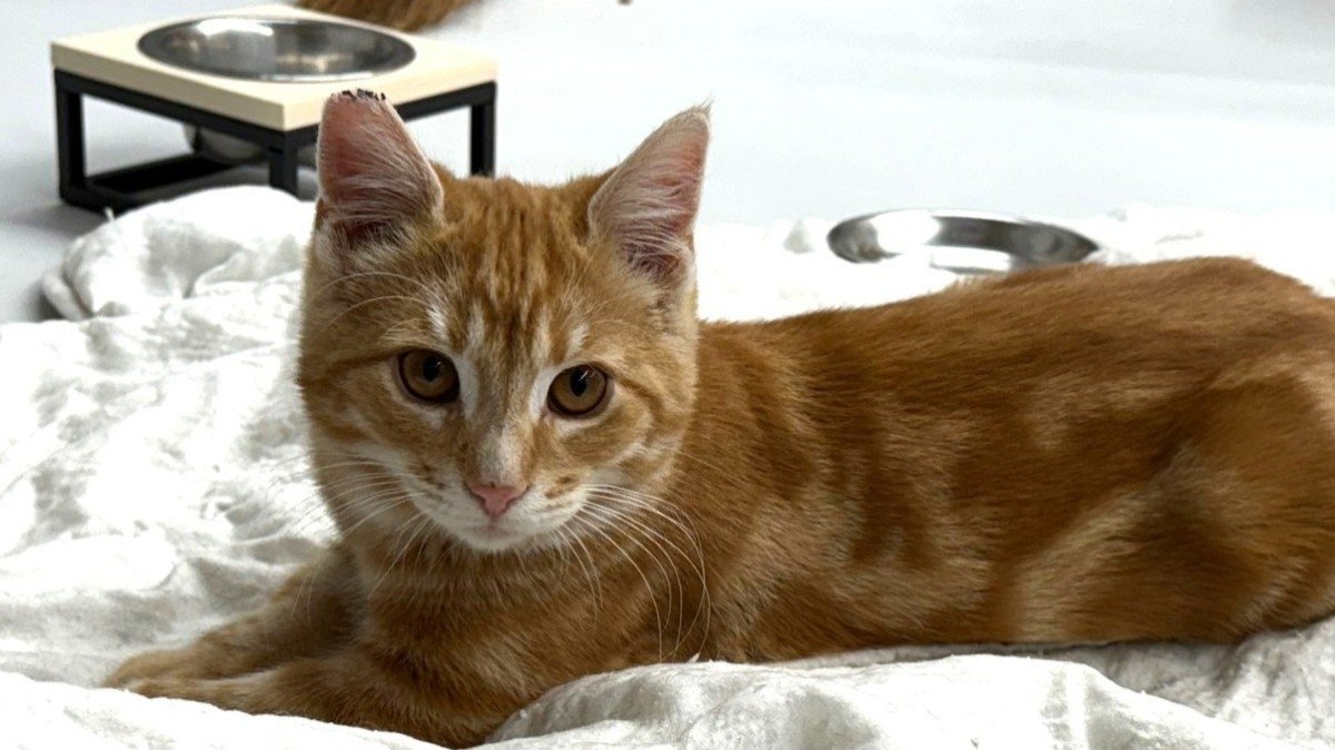 Berend