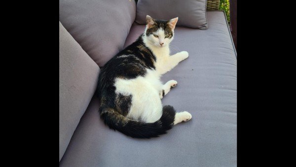 *SPOED* Muis