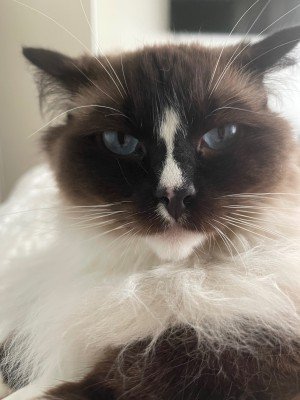Salem