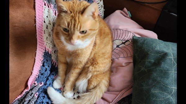 Dexter