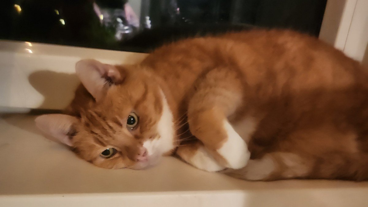 Dexter