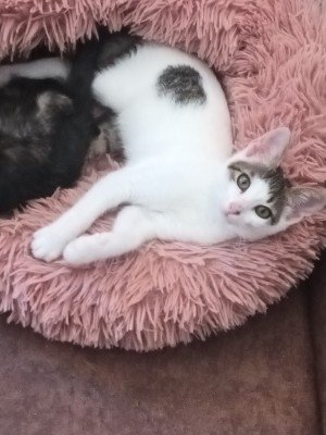 Marley