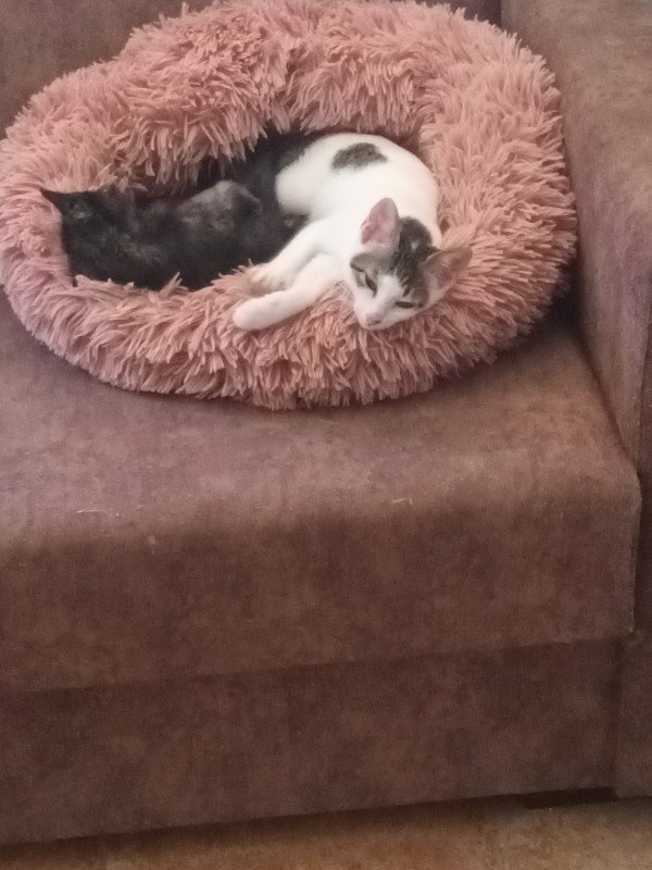 Marley