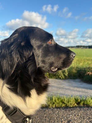Jack