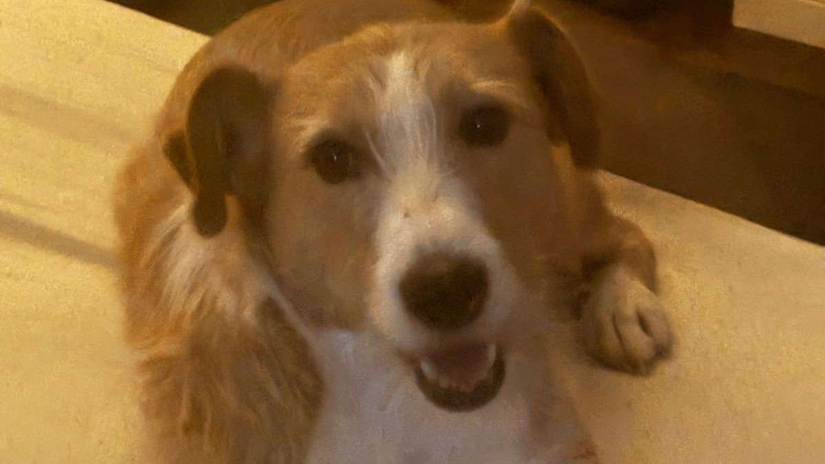 Shirley